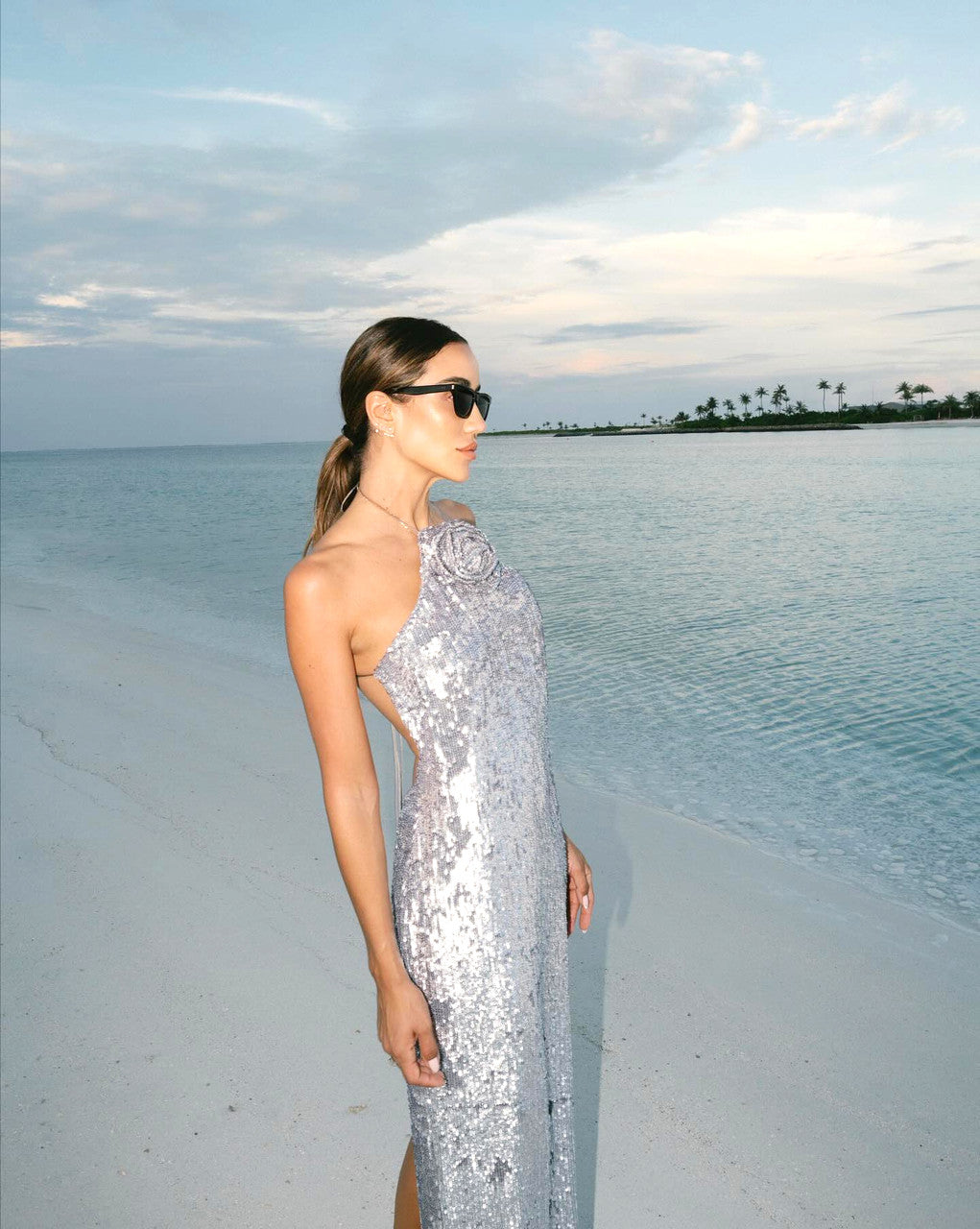 Silver dress