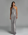 Silver dress